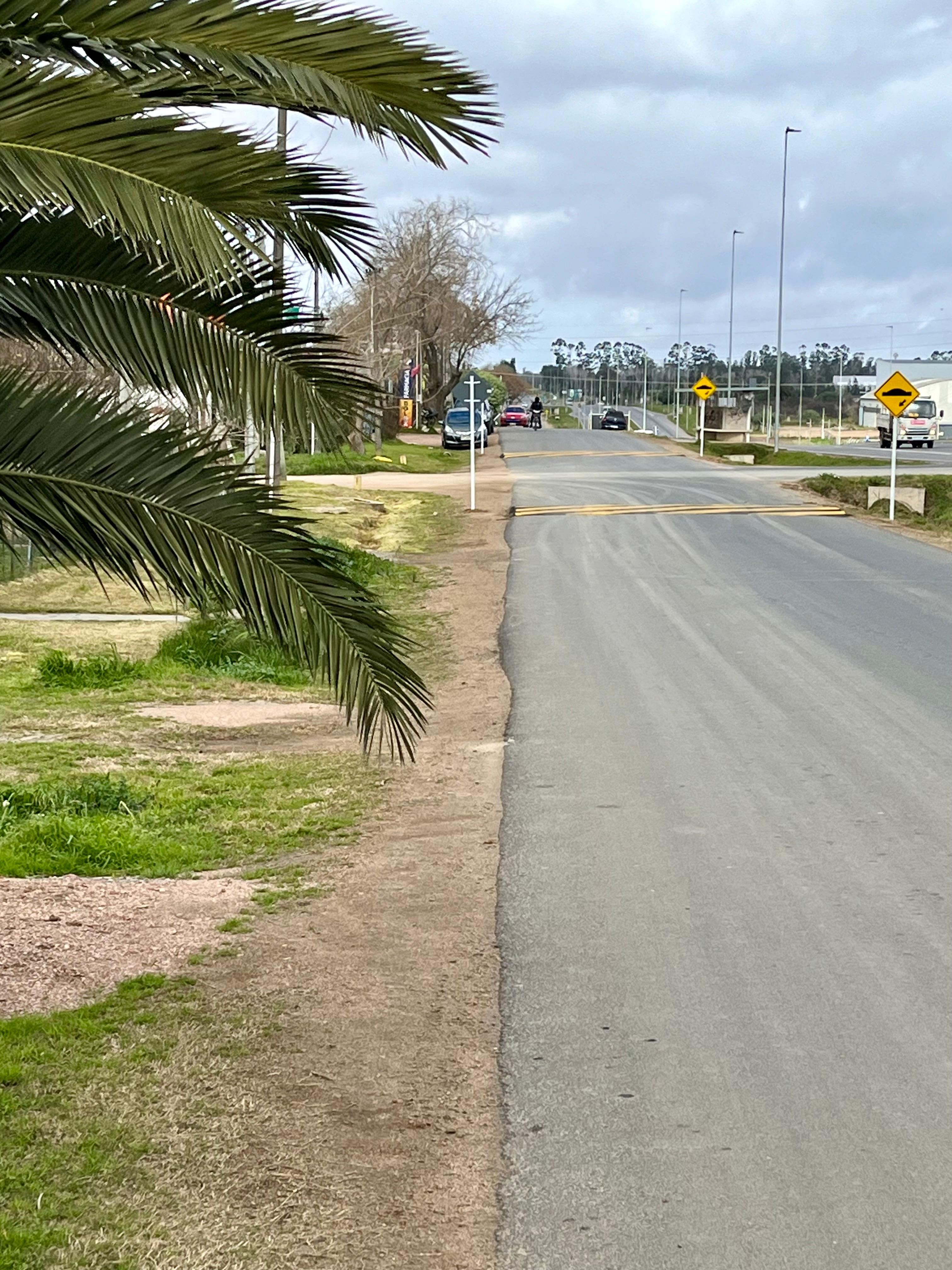 INSTALACIÓN DE LOMADAS EN CALLE AUXILIAR DE LA RUTA 101.